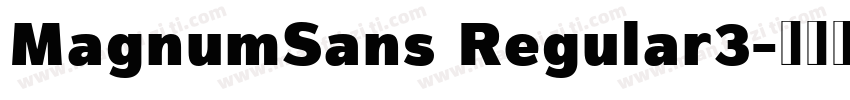 MagnumSans Regular3字体转换